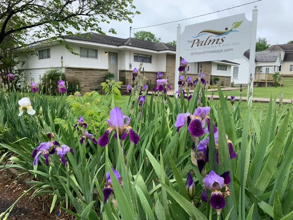 The Palms Massage & Wellness