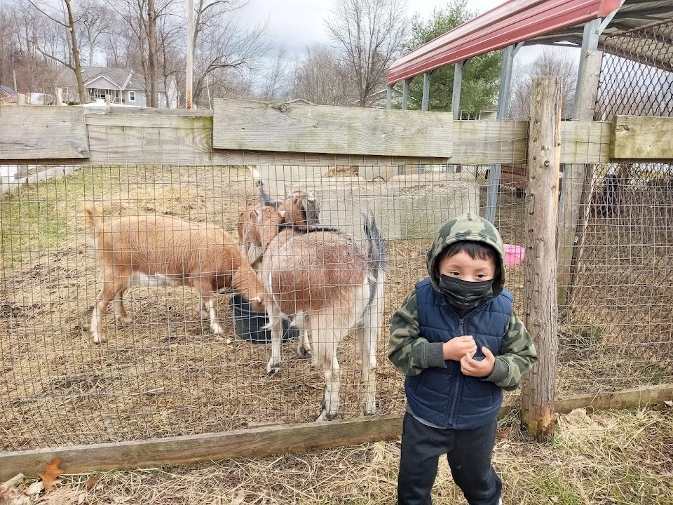 Freedom Hill Farm