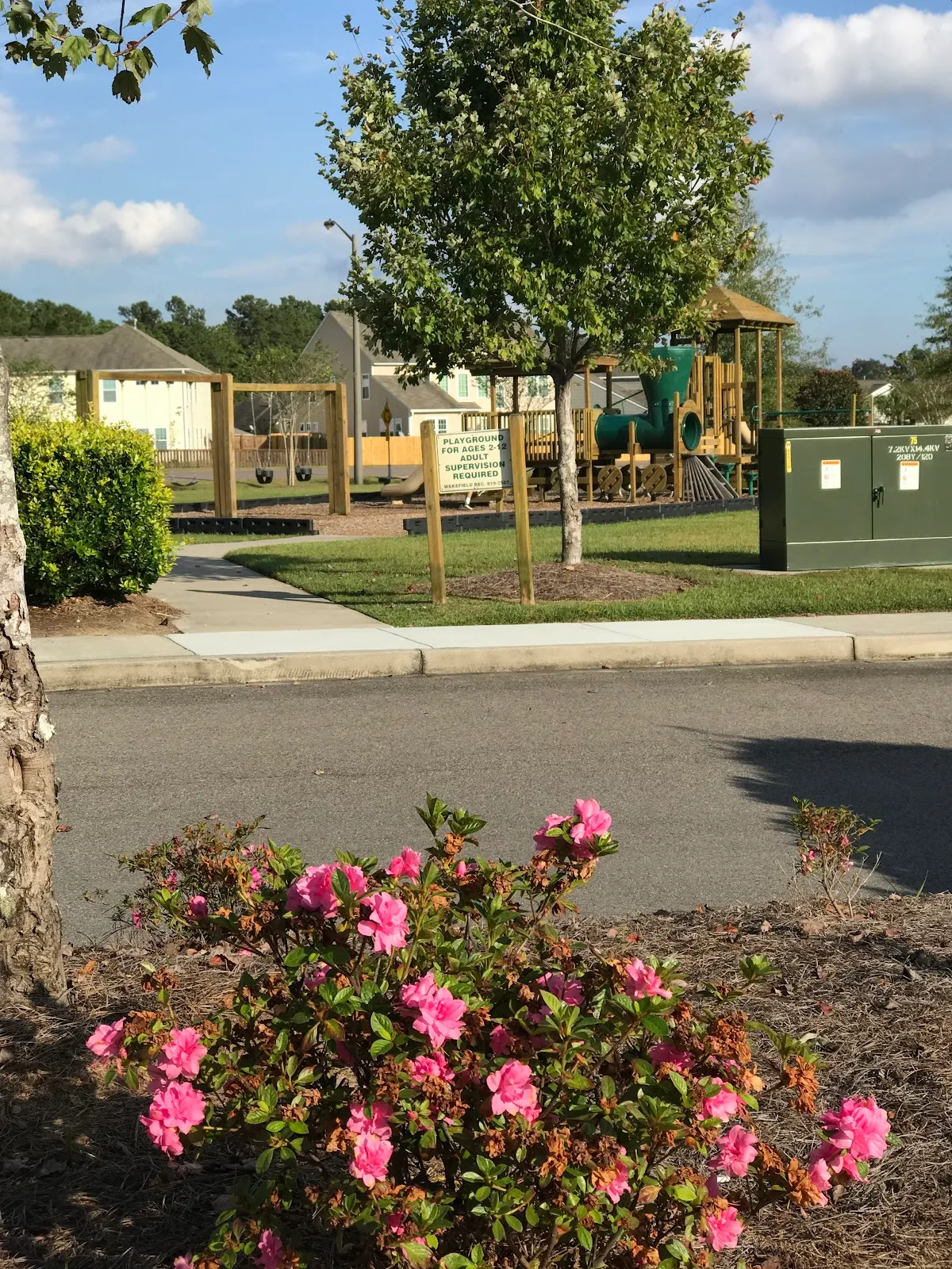 Brickhope Plantation Playground
