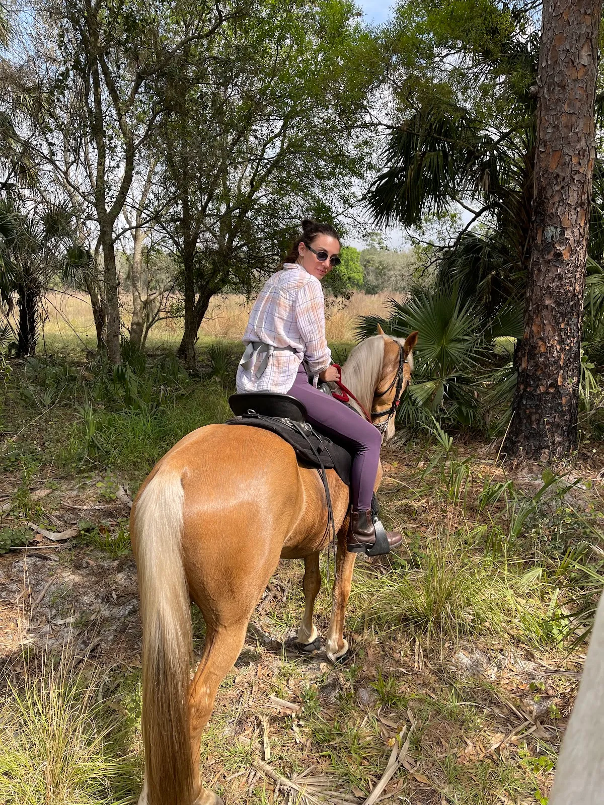 Red Fox Stables & Resort