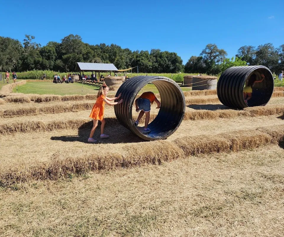 Sweetfields Farm