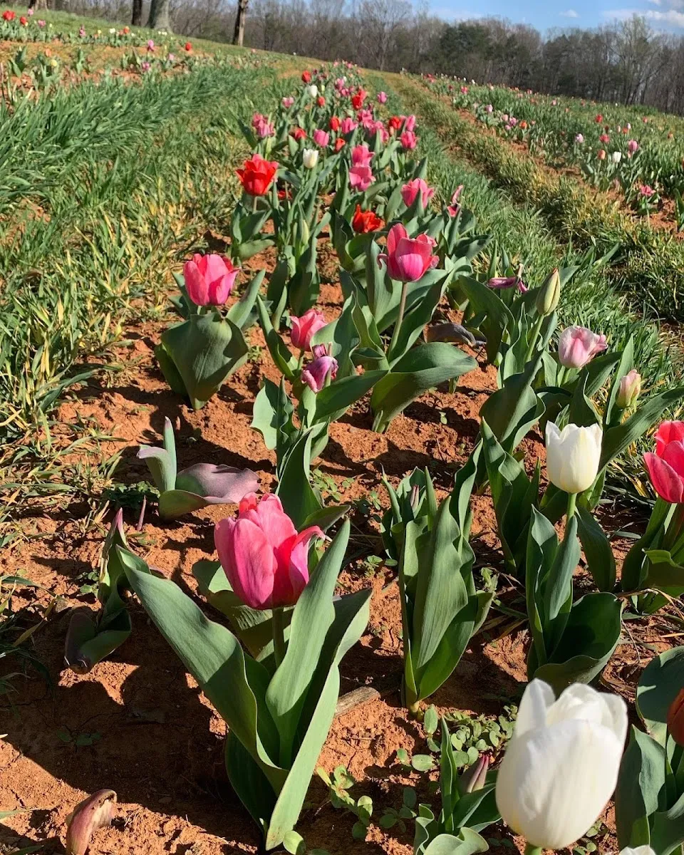 Robertson Family Farm