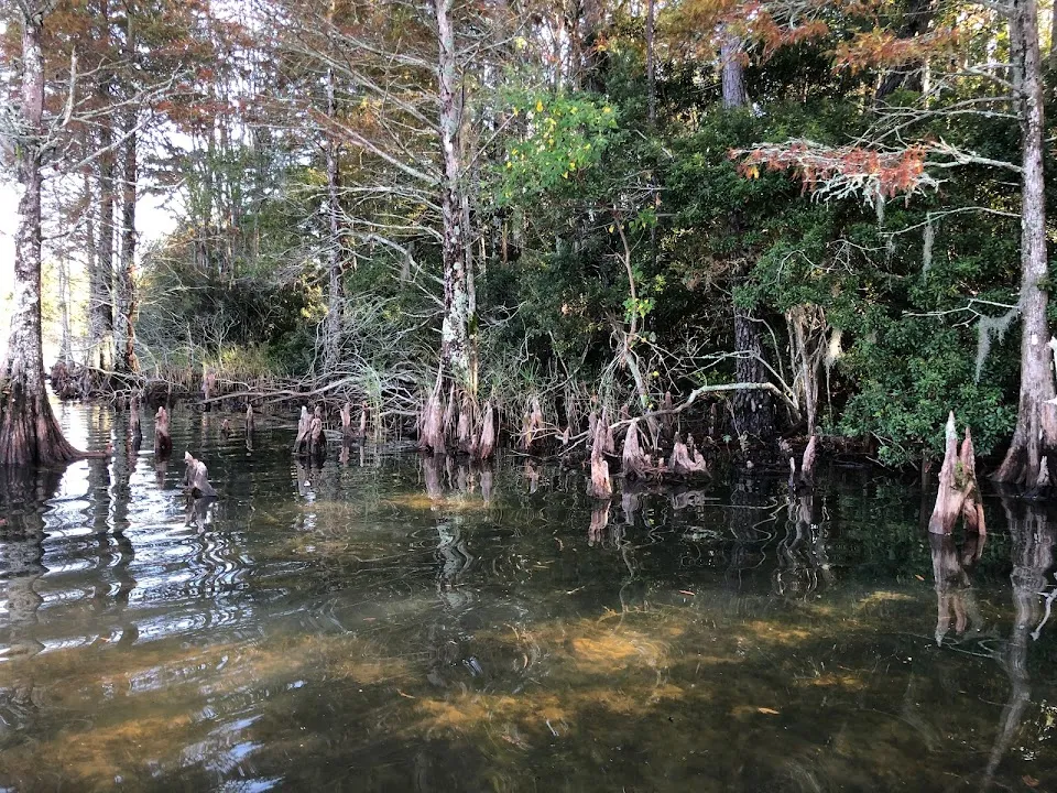 Lake Moultrie Kayak rentals and tours