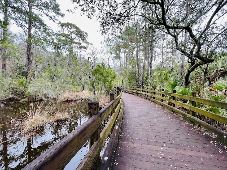 Whitemarsh Preserve