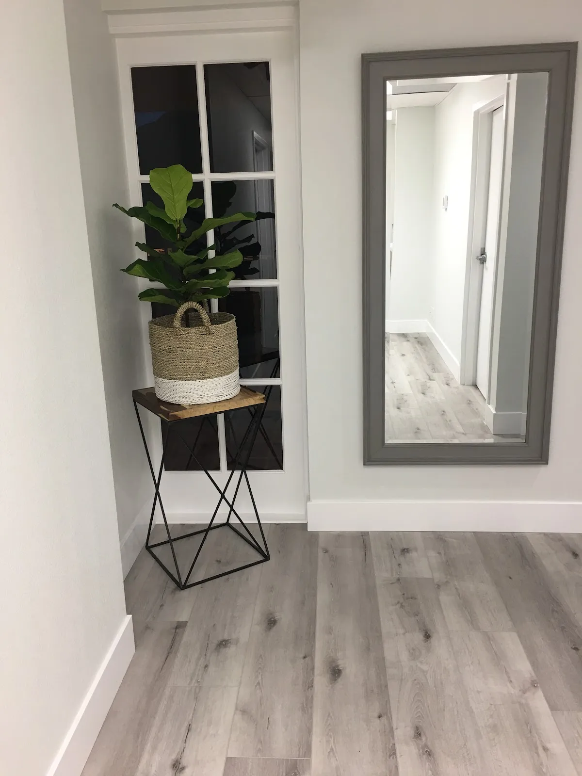 The Skin Loft