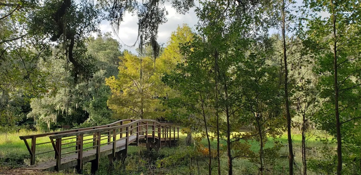 McKethan Lake Recreation Area Withlacoochee State Forest