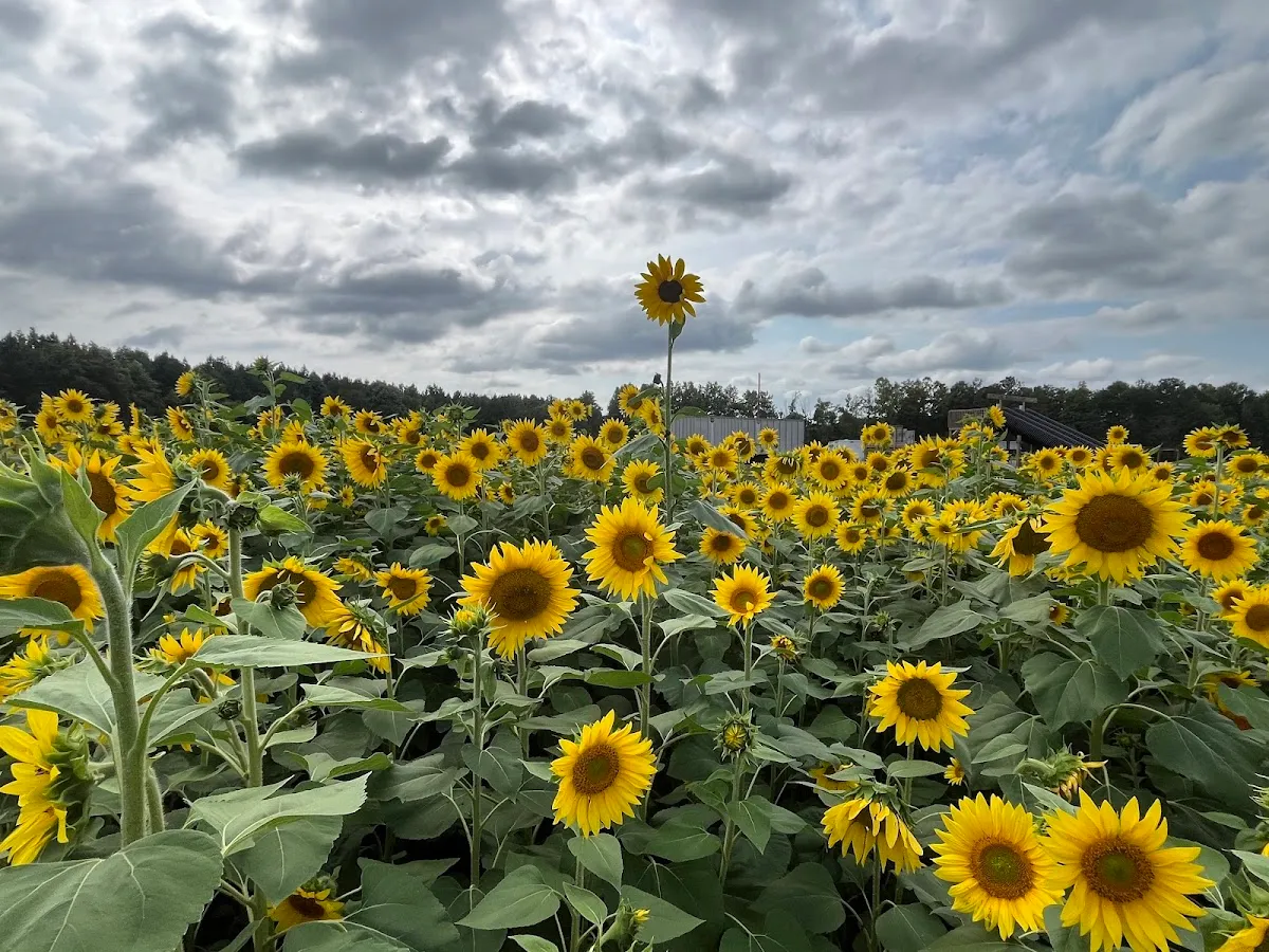 Armstrong Artisan Farm