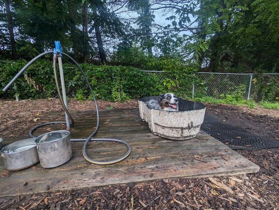 Blacksburg Dog Park