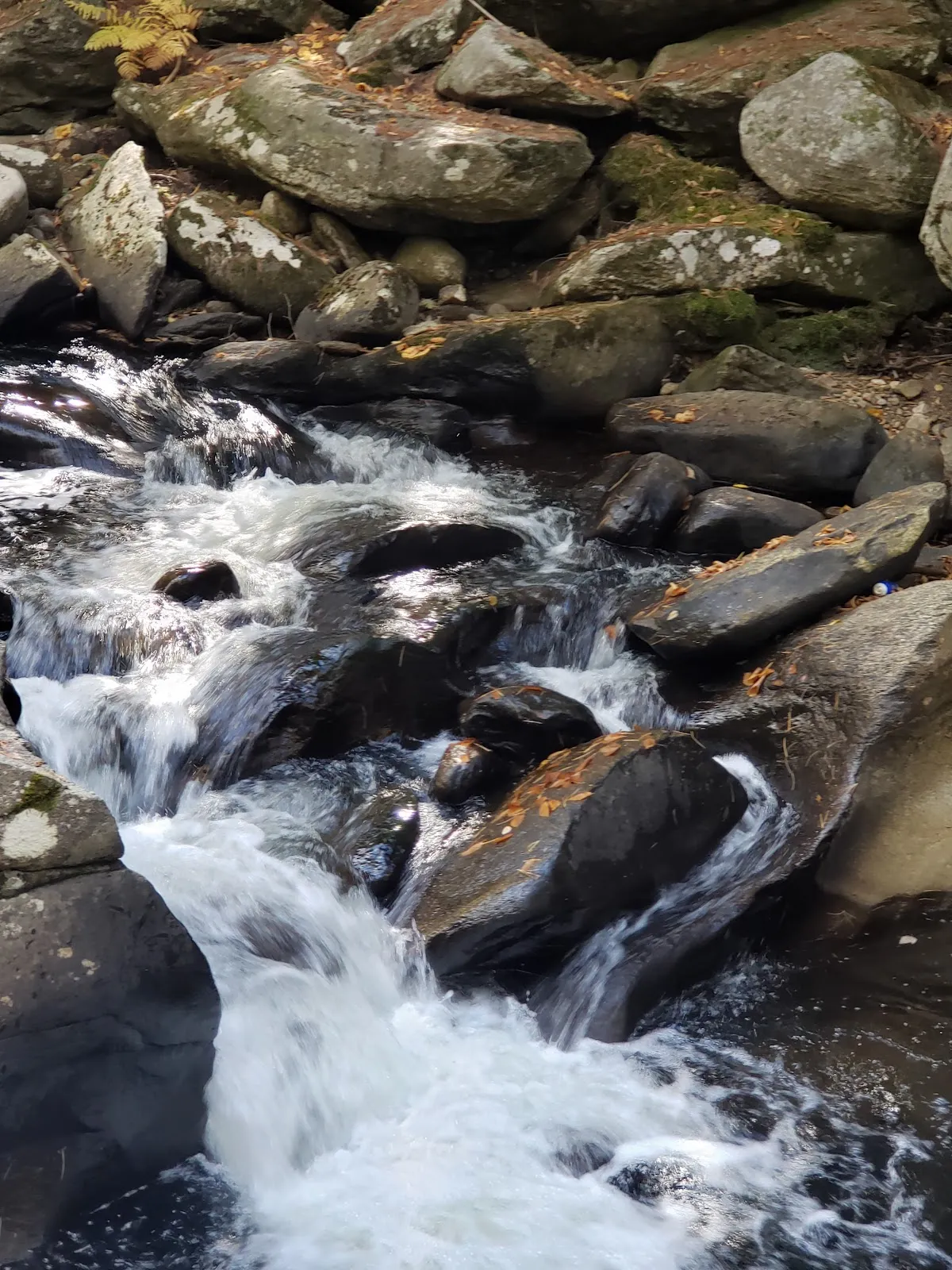 Pollard Mill Falls