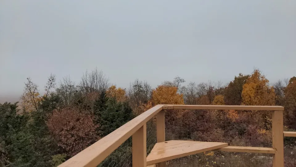 Mount Peter Hawk Watch