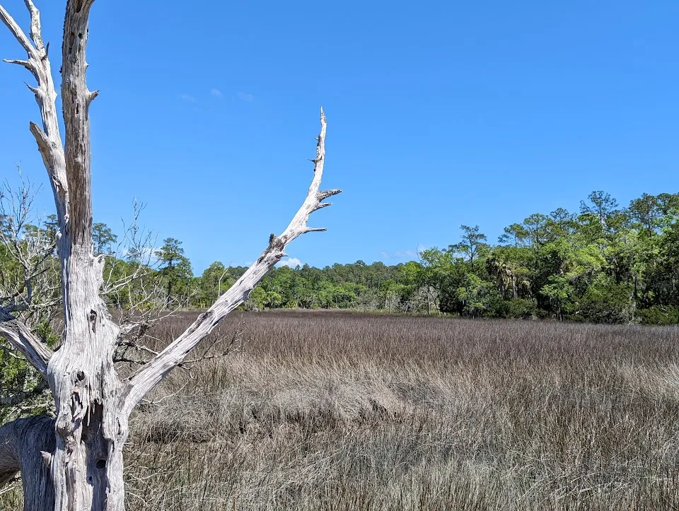 Skidaway Island State Park