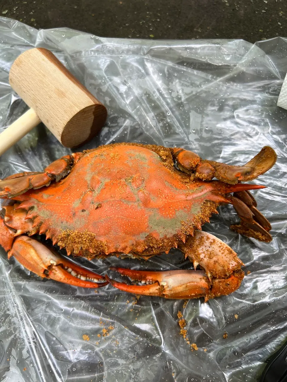 Tuckahoe Seafood