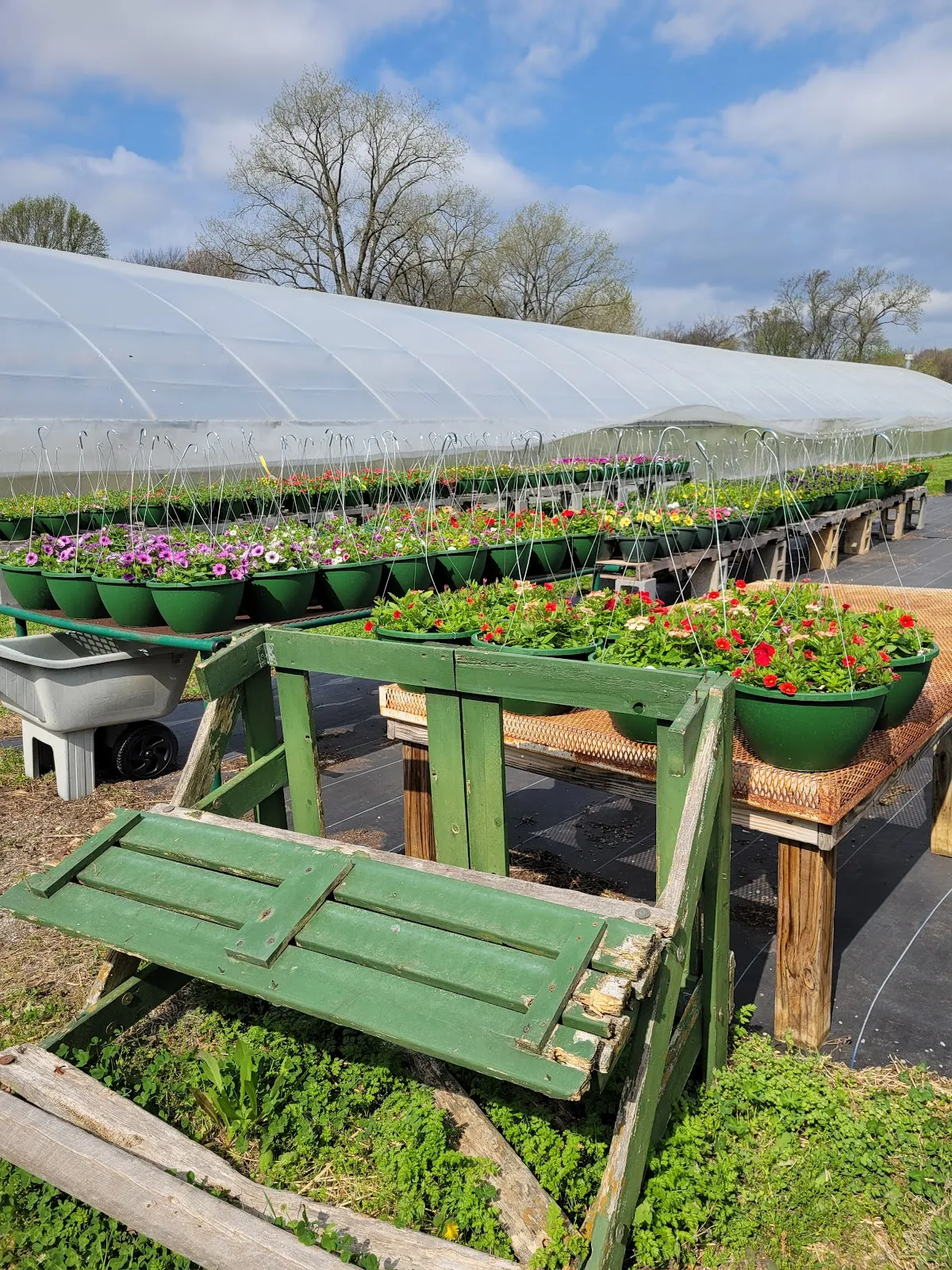 Corbin Creek Greenhouse