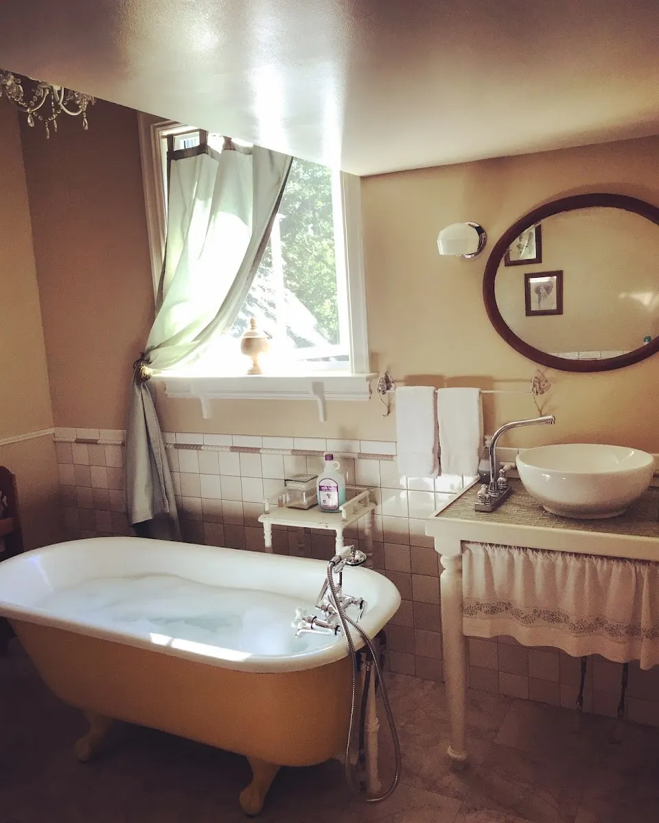 Blue Fern Bed and Breakfast