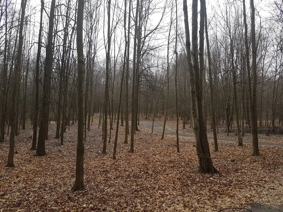 Montgomery Pleasure Ground Park