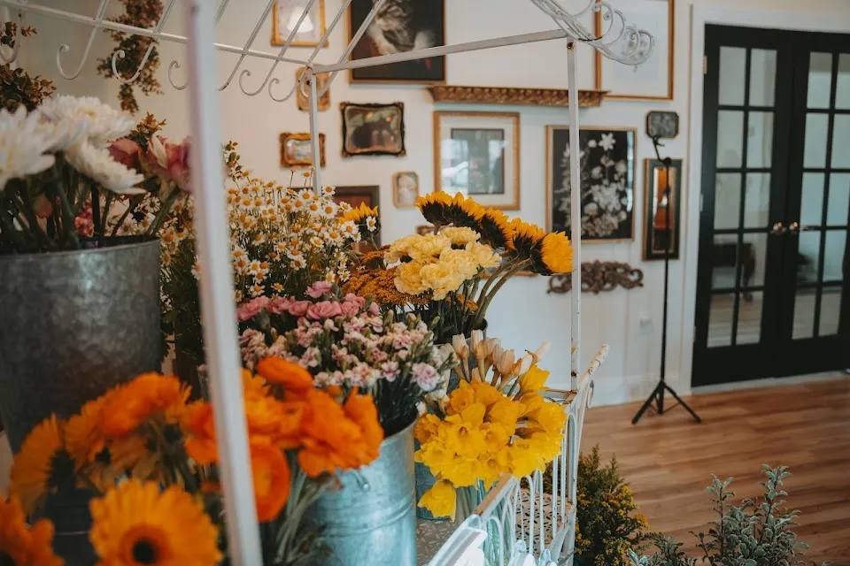 Whimsy & Willow LLC