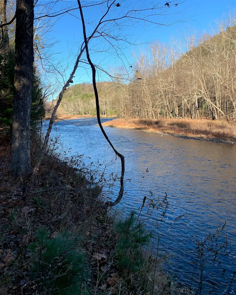 Neversink Preserve
