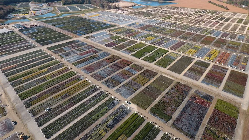 Bennett's Creek Nursery
