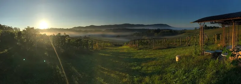 Beliveau Farm Winery