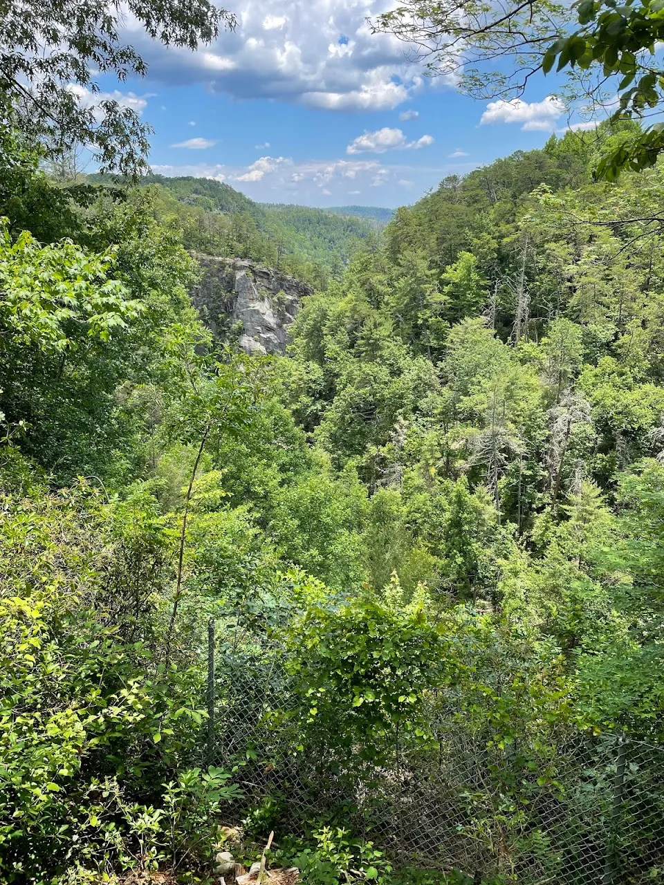 Overlook 5