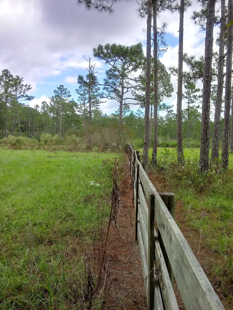 Palm Bluff Conservation Area