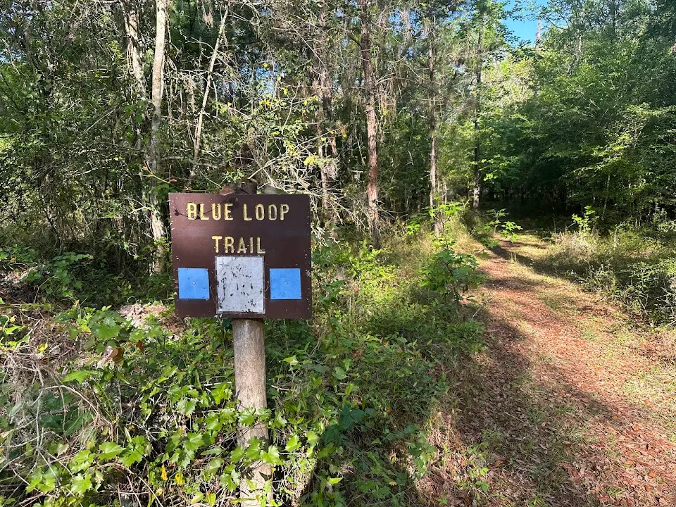 Croom River trail loop