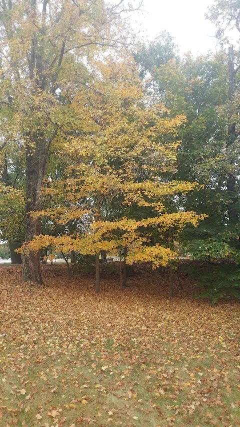 Marcia's Park