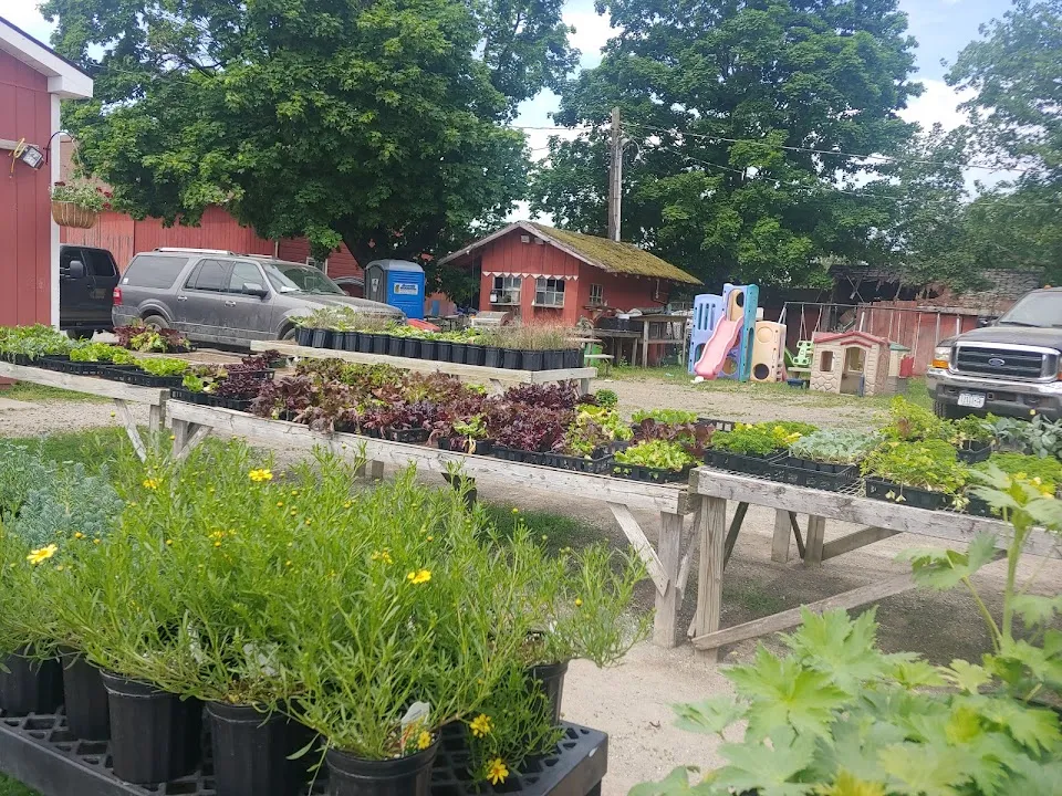 Hoeffner Farms Inc