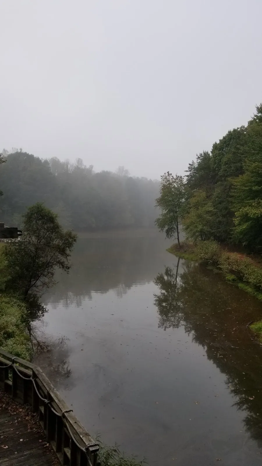 Camp Carefree