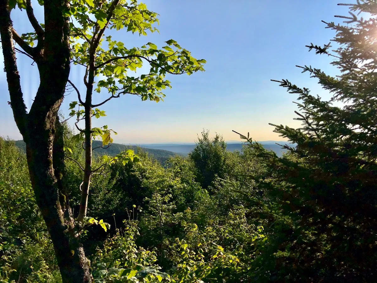 Monadnock-Sunapee Greenway Trail