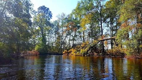 Edisto River