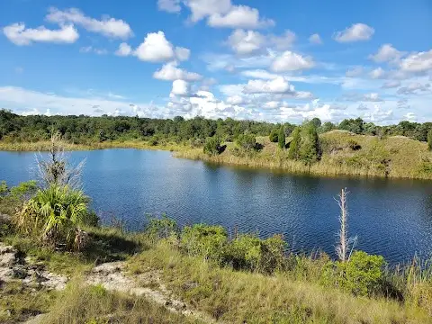 Aripeka Sandhills Preserve