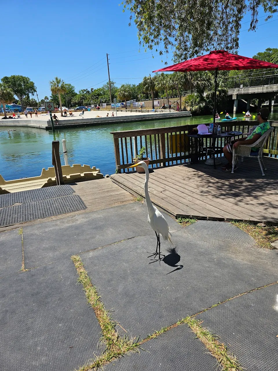 Weeki Wachee The Kayak Shack