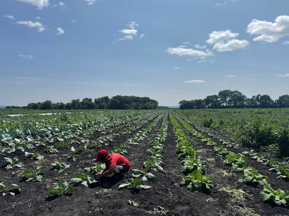 Ricky’s Farm Inc