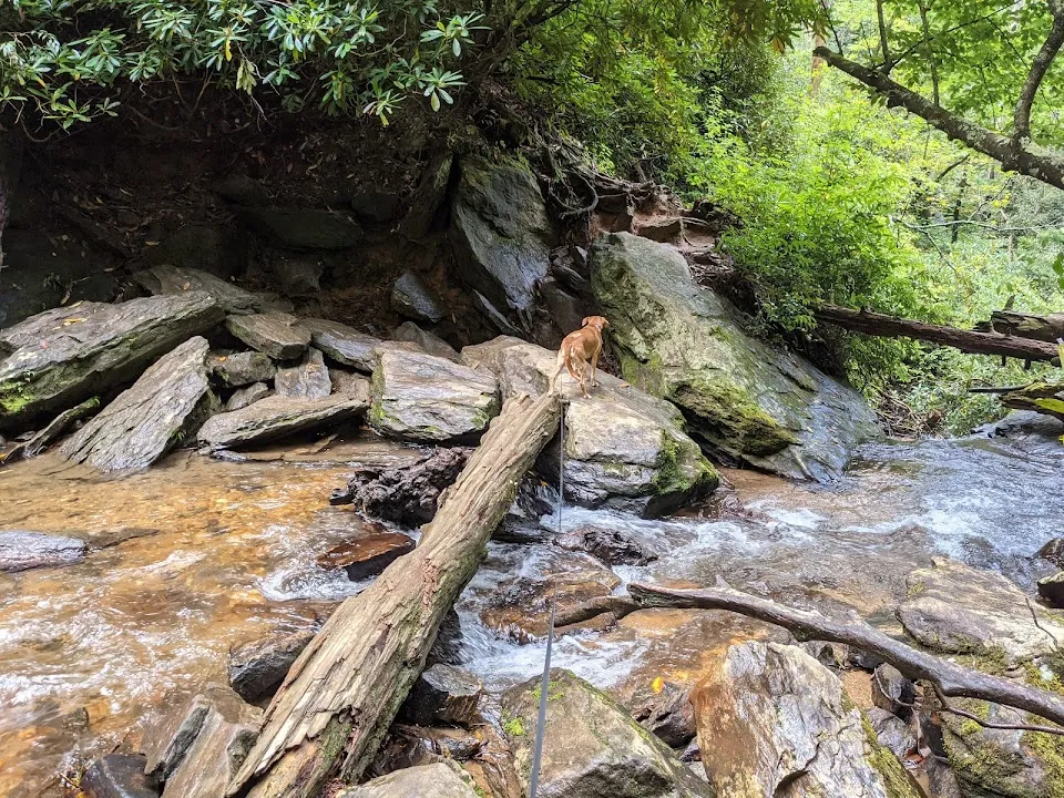 Kings Creek Falls
