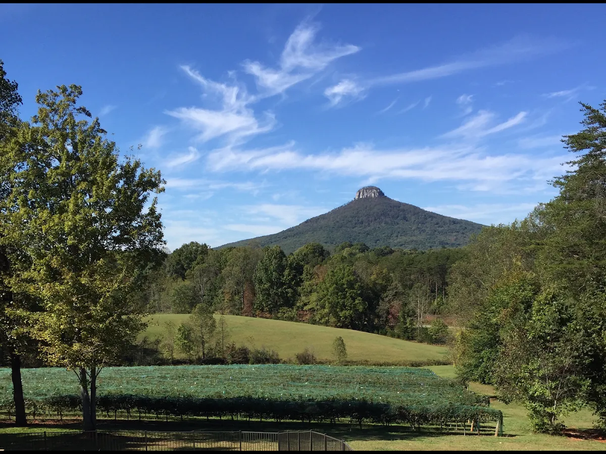 Weddings at Pilot Mountain Vineyards