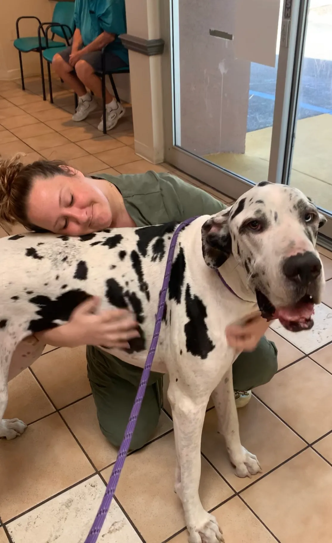 Animal Care Center-Weeki Wachee