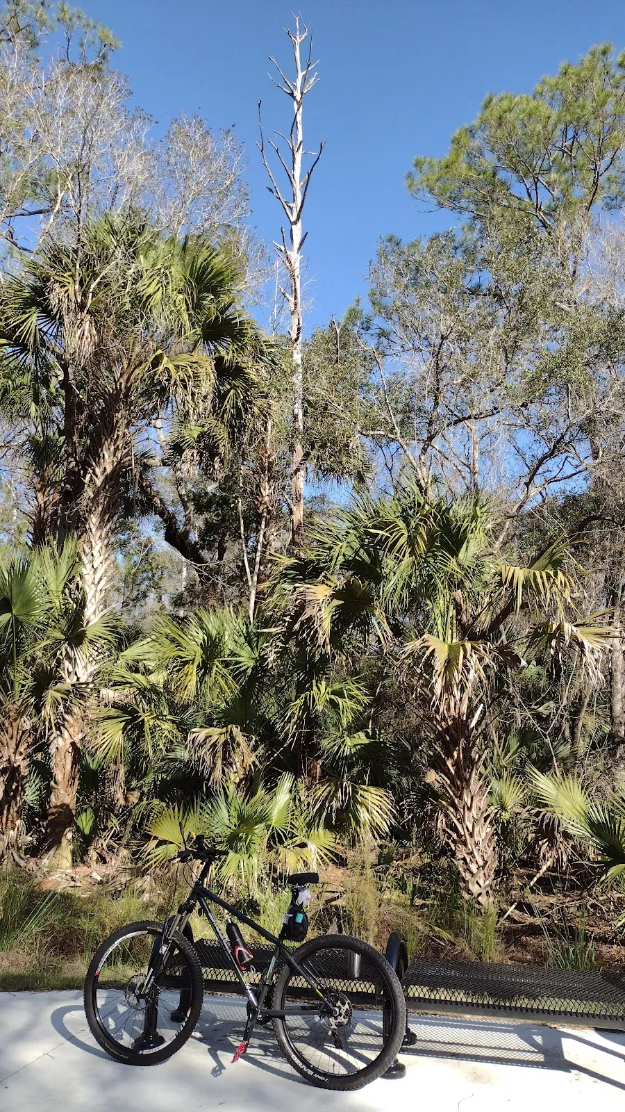 East Central Regional Rail Trail