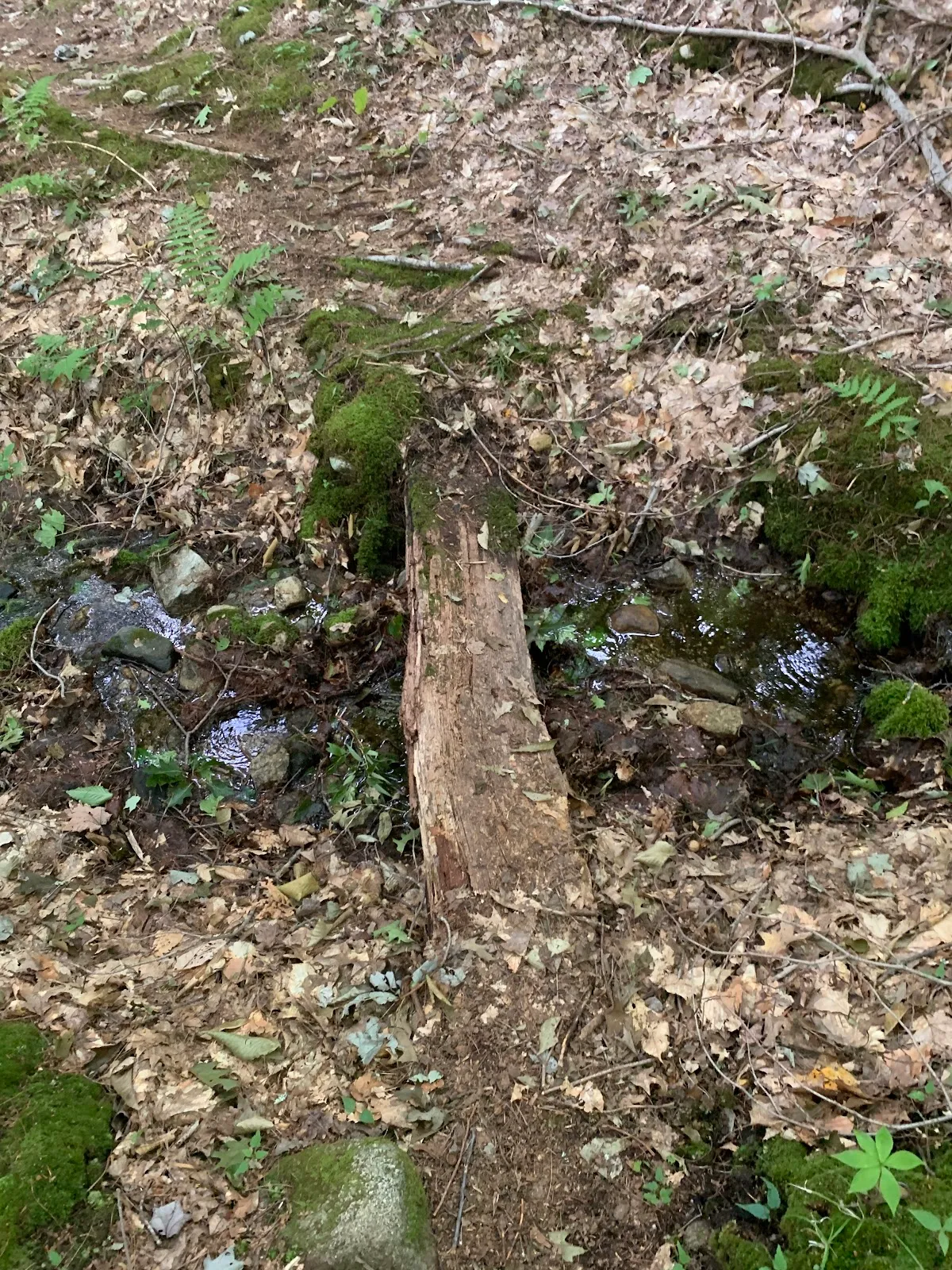 Fishers Field Trail