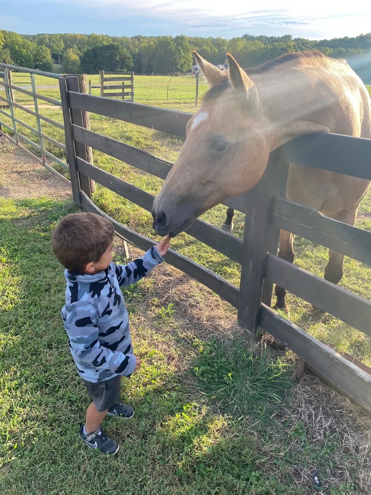 Serenity Ridge Farms, LLC