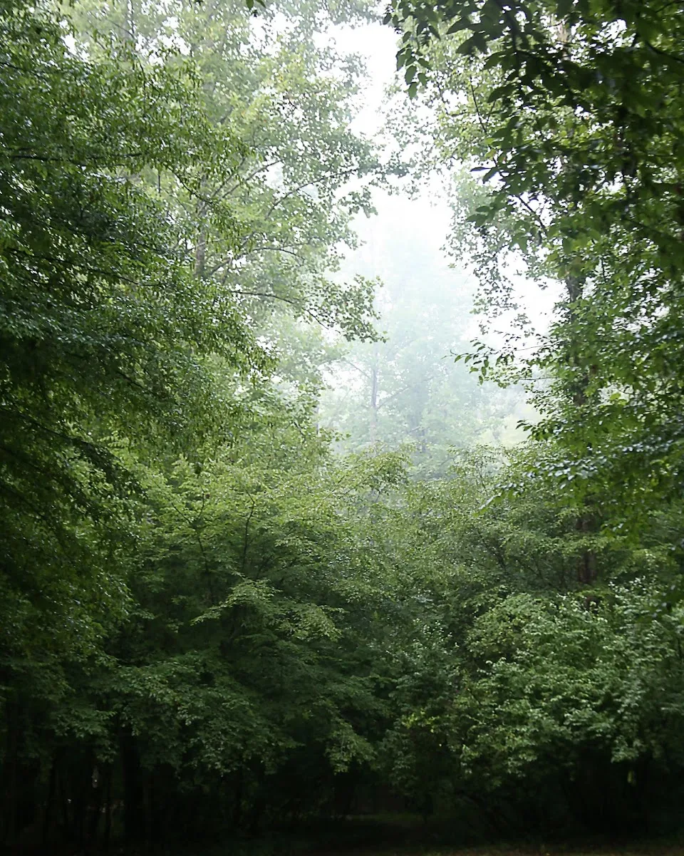 Low Water Campground