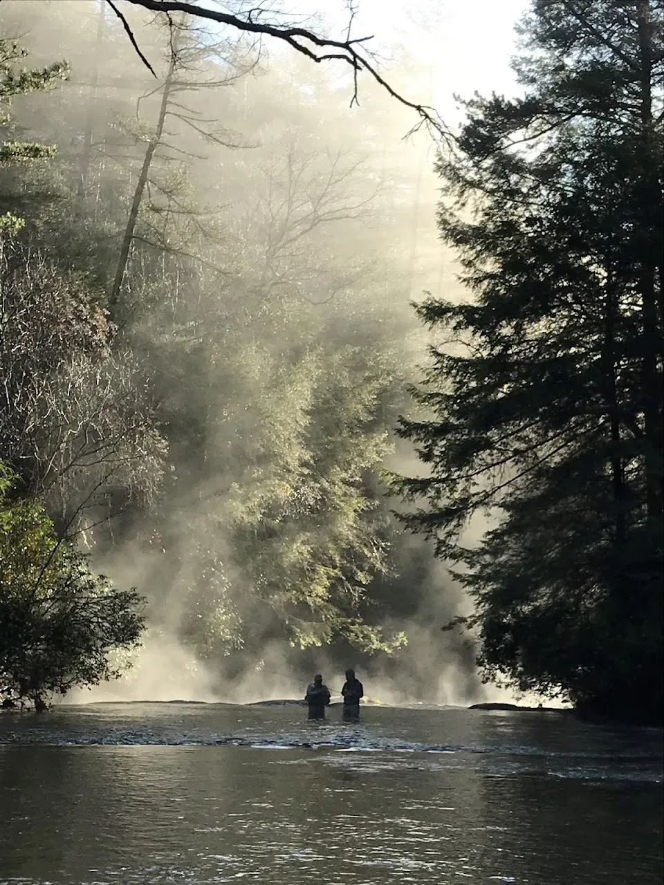 Blackhawk Trophy Flyfishing