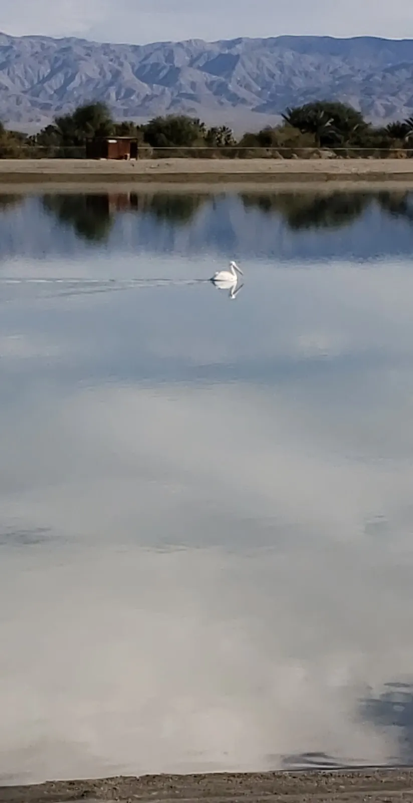 Lake Cahuilla Veterans Regional Park