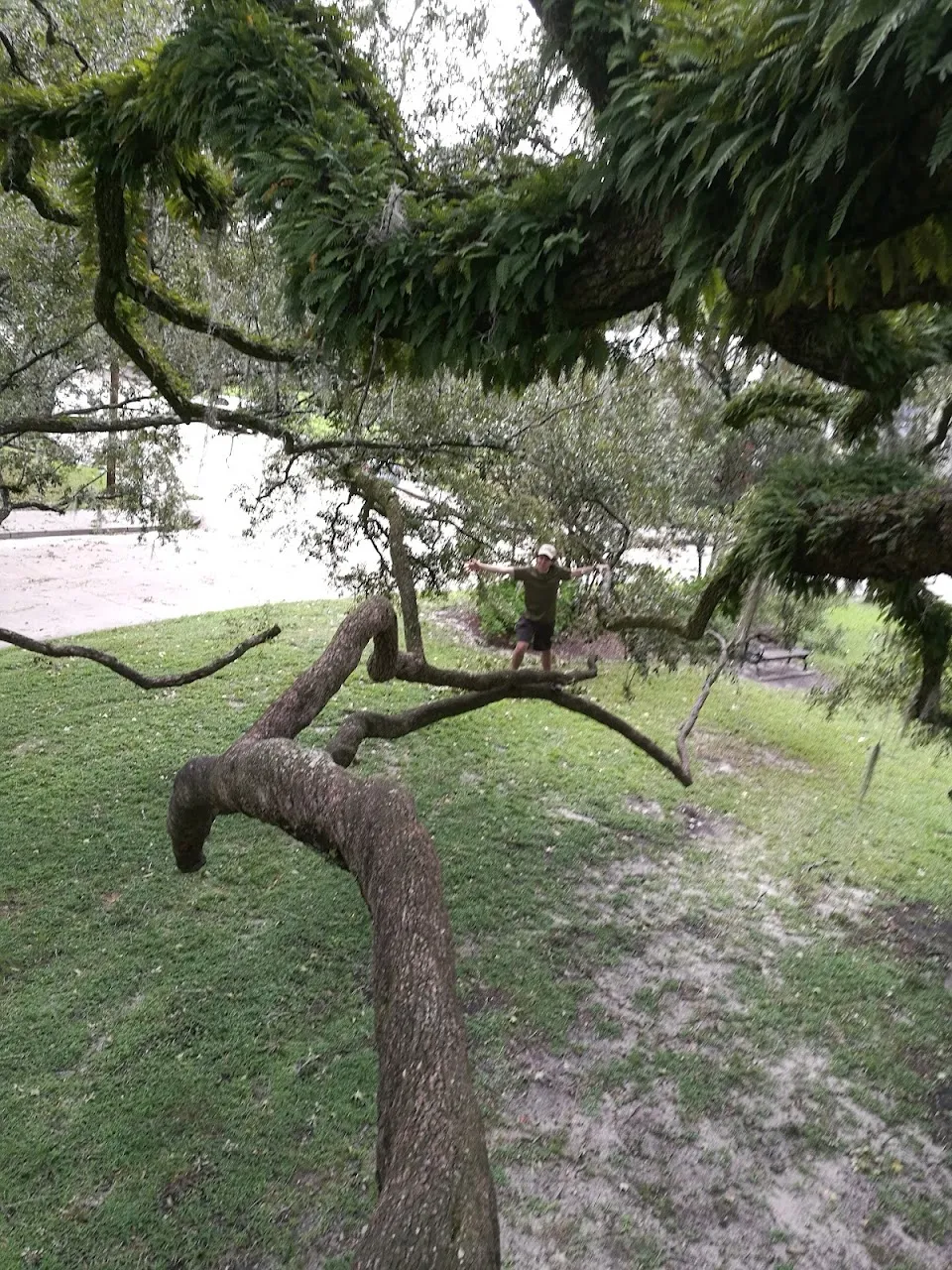 McCauley Park