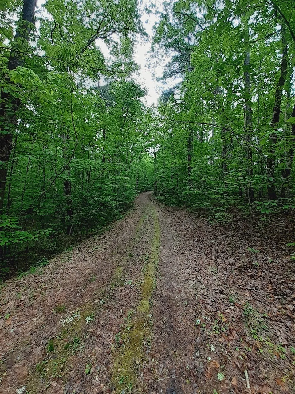 Sids Falls Trail