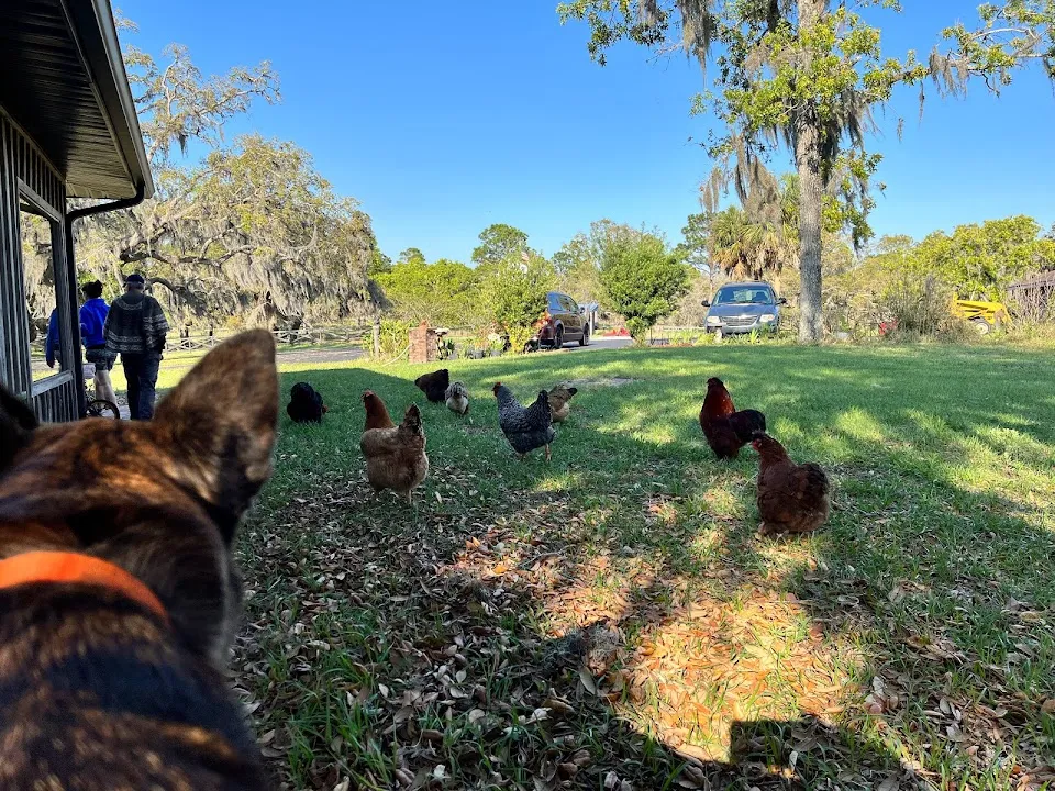 The Hivery And Potager At Heaven On Earth Ranch