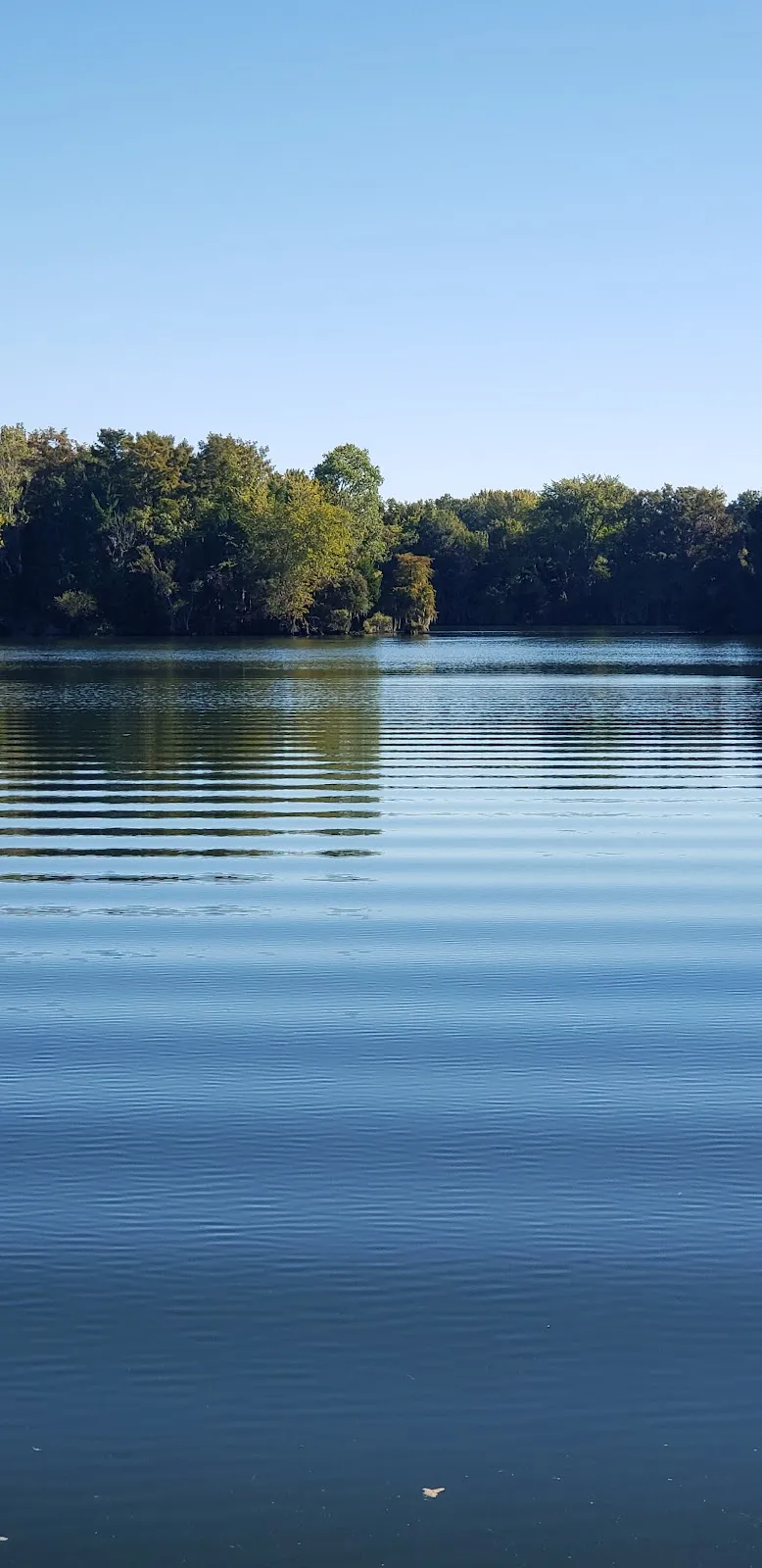Big Oak Campground