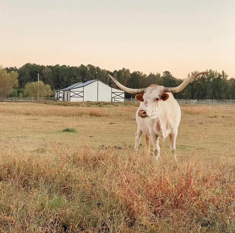 Langston Ranch