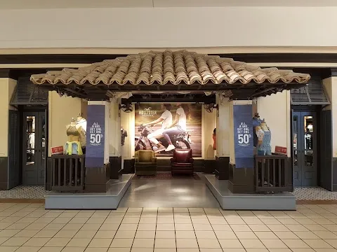 Hollister Co.