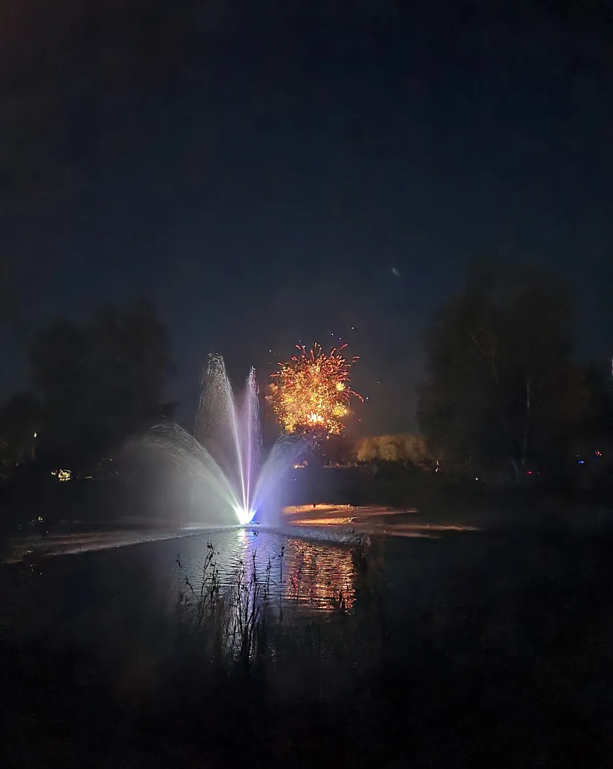 Rotary Memorial Park